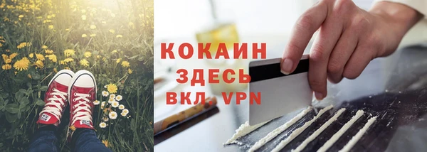 гашик Елизово