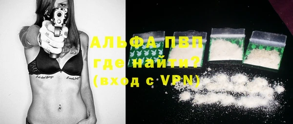 гашик Елизово