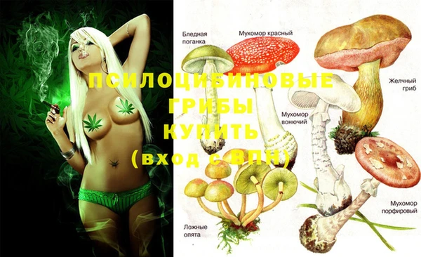 mix Ельня