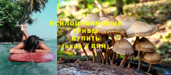 гашик Елизово