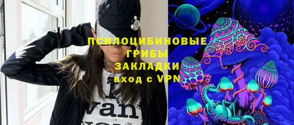гашик Елизово