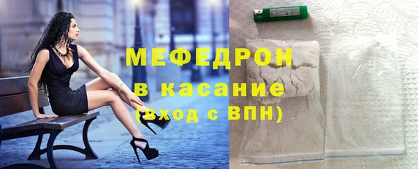 индика Пенза