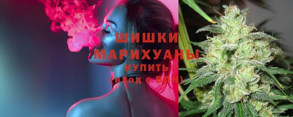 гашик Елизово