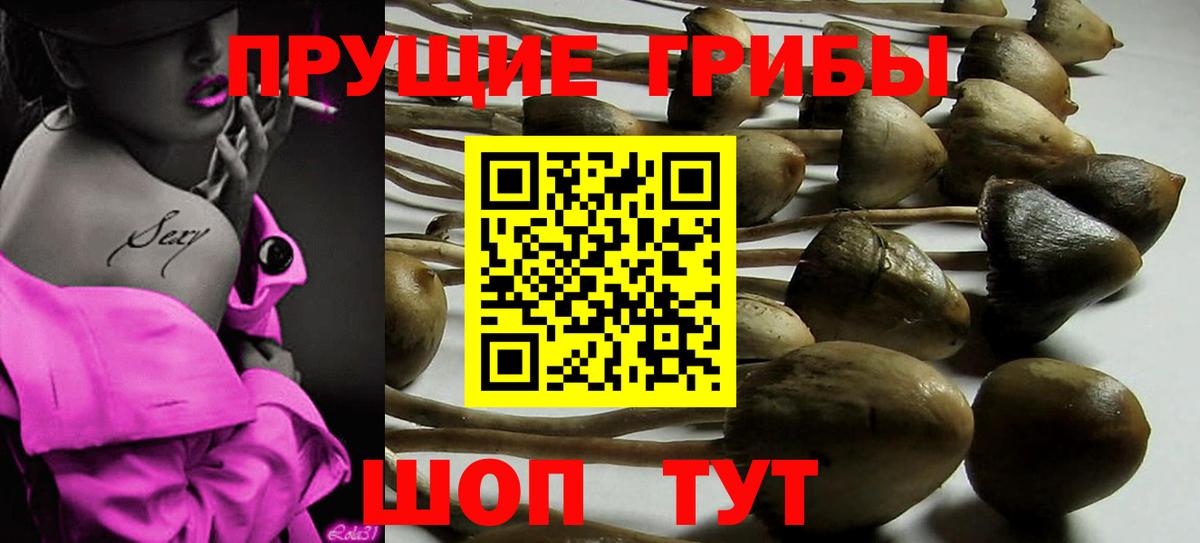 Псилоцибиновые грибы Magic Shrooms  Вход с VPN  Абакан 