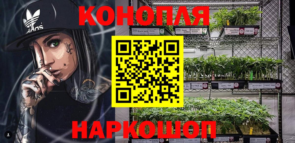 Бошки Шишки семена  Шишки марихуана семена  Абакан  Конопля VHQ  Шишки марихуана THC 21%  Вход с VPN 